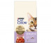 Сухой Корм Cat Chow (Кэт Чау) Для Кошек с Чувствительным Пищеварением Птица и Лосось Special Care Sensitive 15кг  