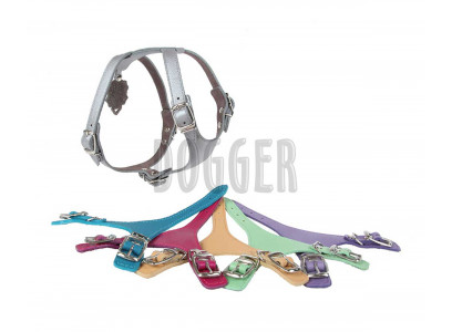 Шлейка Для Собак Dogger (Доггер) 35-45см*1,2см Цветная Ш120300ц  