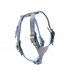 Шлейка Для Собак Dogger (Доггер) 31-36см*1см Цветная Ш100300ц 