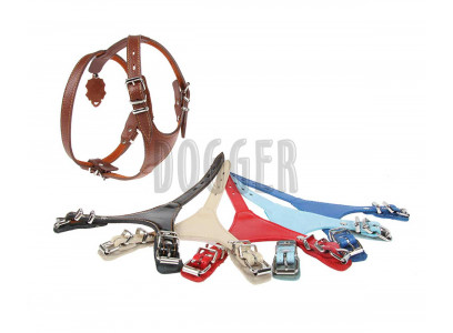 Шлейка Для Собак Dogger (Доггер) 45-55см*1,5см Цветная Ш150301ц  