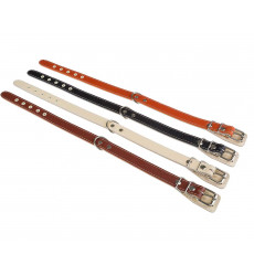 Ошейник Для Собак Брава №20 Двухслойный Не Украшен с Кольцом Посередине Арт616