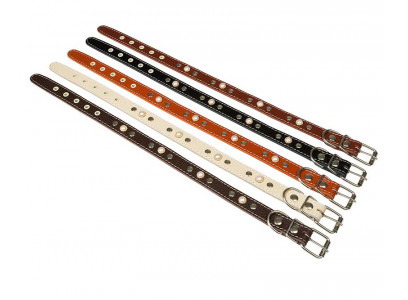 Ошейник Для Собак Брава №20 1 Слой Украшенный Арт014 