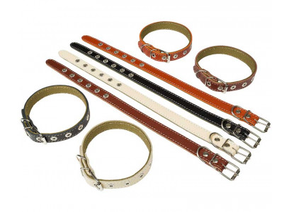 Ошейник Для Собак Брава №20 Комбинированный Кожа и Брезент Арт028 