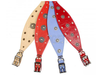 Ошейник Для Собак Dogger (Доггер) 25мм Сельдь Фурнитура Цветной О251700ц