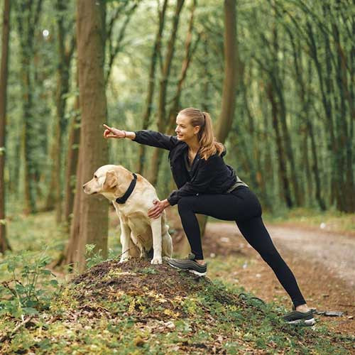 Фитнес для собак