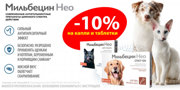 Акция на МИЛЬБЕЦИН НЕО ветпрепараты от глистов для кошек и собак. Скидка 10%