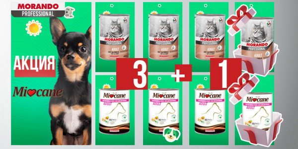 3+1 в подарок! Акция на консервы для кошек и собак Morando и Miocane!