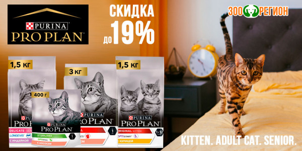 Акция на сухой корм для кошек и котят ProPlan 200г, 400г, 1.5кг, 3кг. Скидка до 19%!