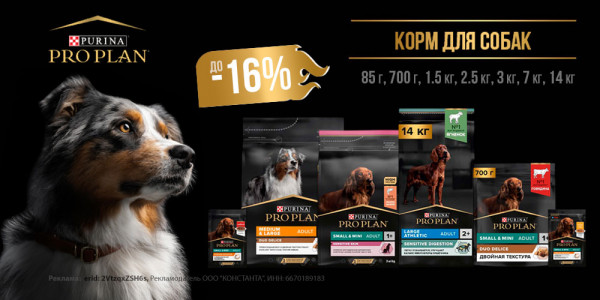 Акция на корм для собак PRO PLAN. Скидка до 16%