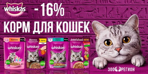 Акция на влажный корм для кошек Whiskas 75г! Скидка 16%!