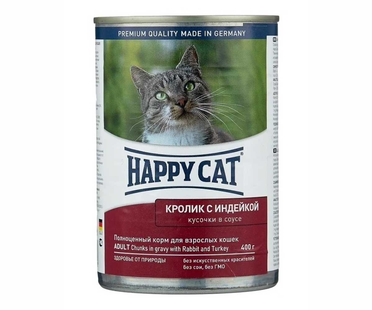 Happy happy cat песня