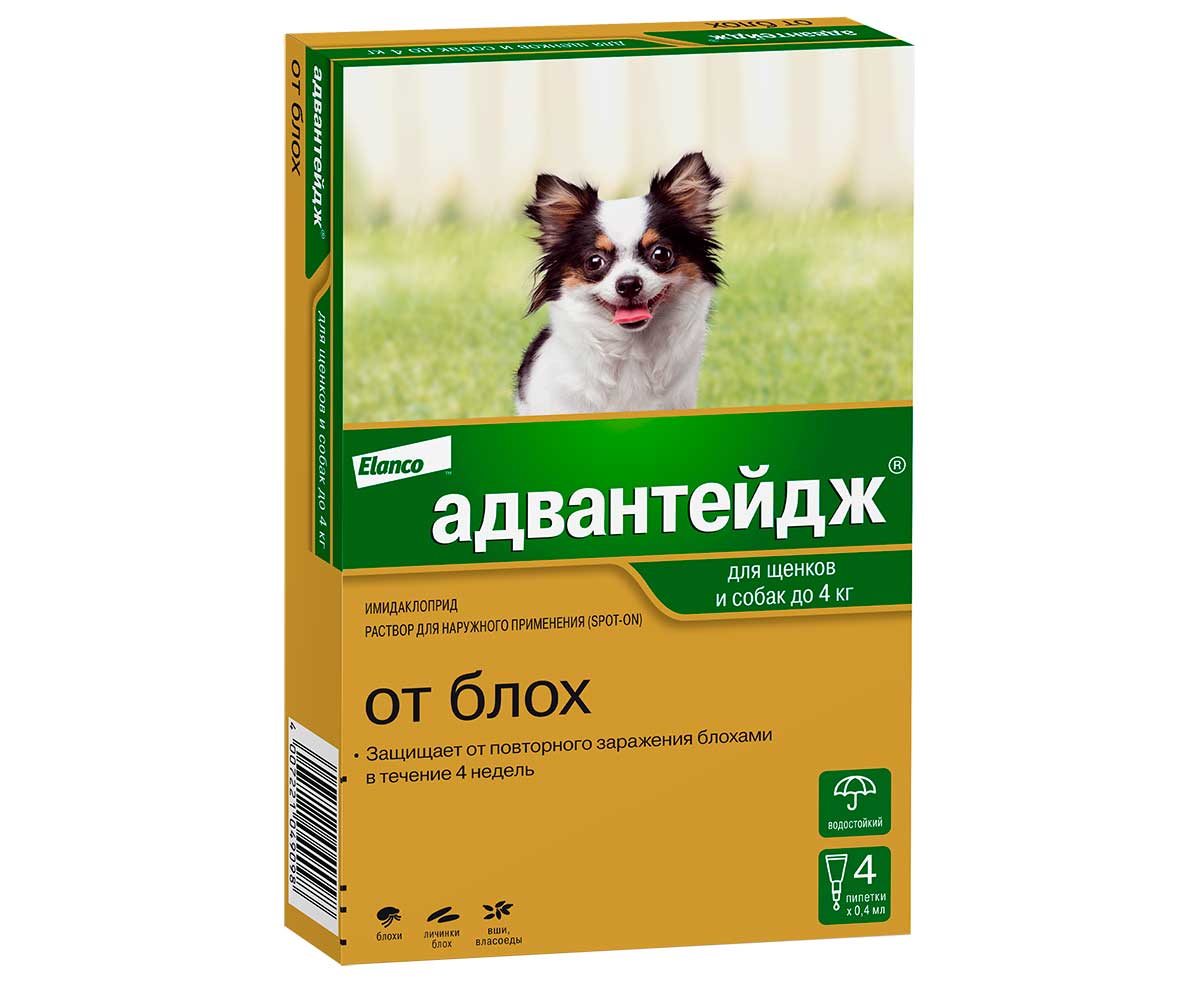 Собаки весом до 4 кг. Адвантикс 40 капли для собак до 4. Капли Адвантейдж. Капли от блох и вшей Адвантейдж. Капли от власоедов для щенков.
