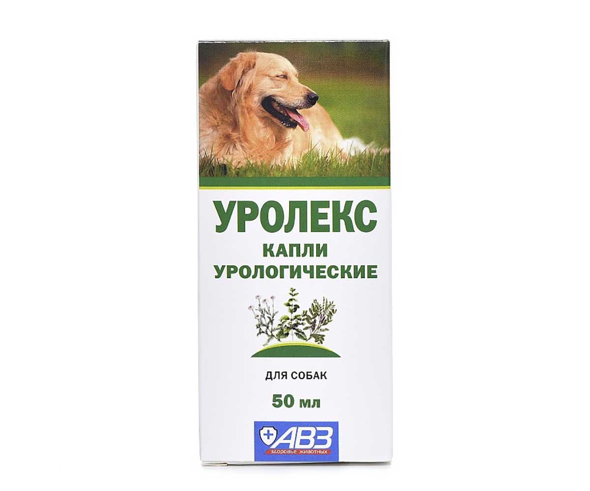 Уролекс для кошек. Капли авз уролекс для собак и кошек. Уролекс капли уролог. Капли авз уролекс для собак и кошек. Капли урологич уролекс д/собак 50мл.
