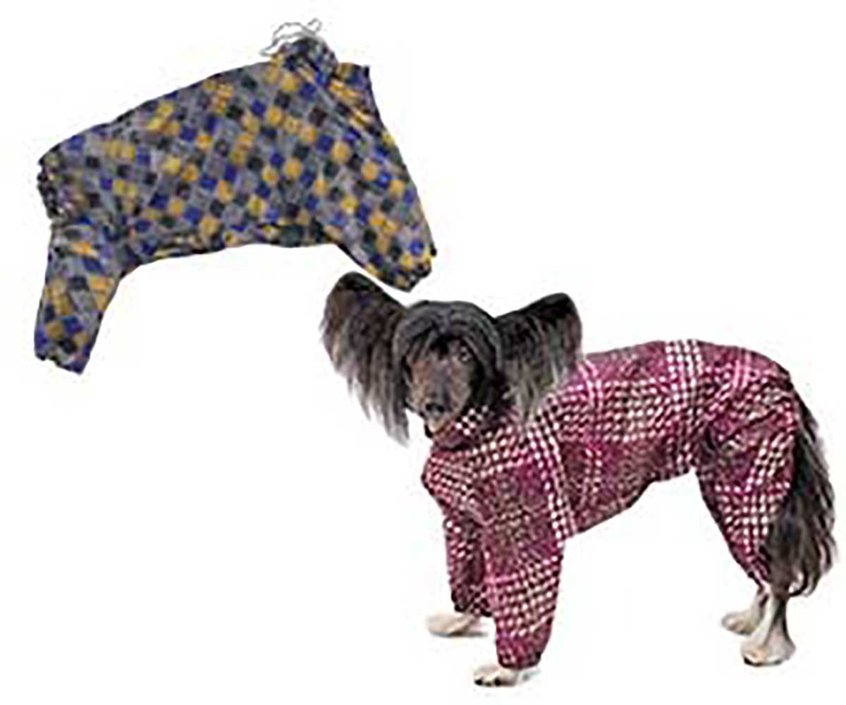 Одежда для китайской хохлатой собаки