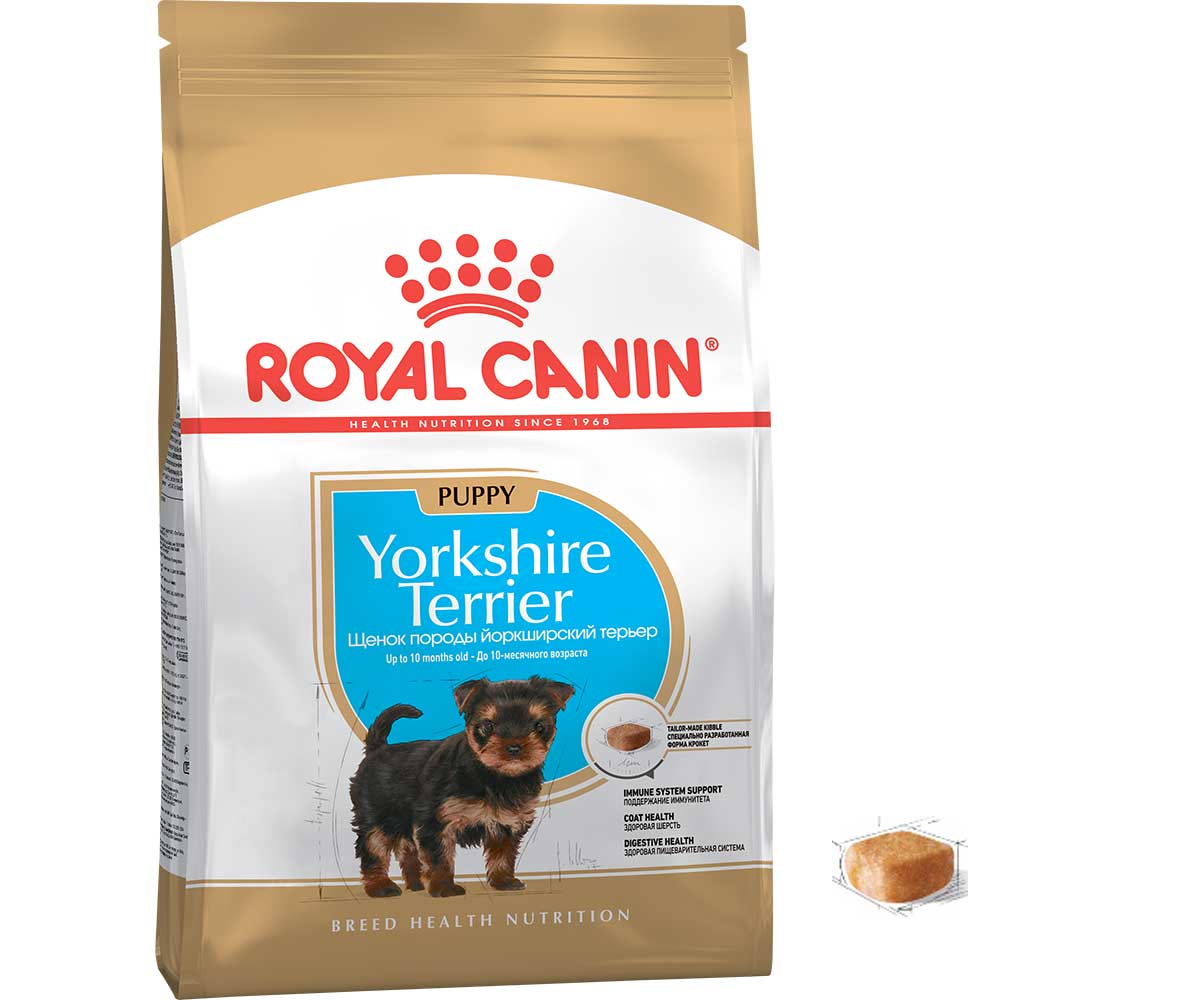 Йорк на сухом корме. Royal Canin Yorkshire Terrier. Корм Роял Канин Паппи Йорк. Роял Канин для щенков Йорка. Роял Канин для йоркширских терьеров.