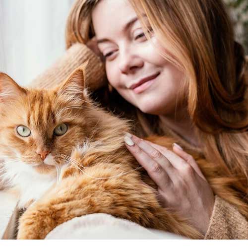 kak-sozdat-druzhestvennoe-prostranstvo-dlya-koshek-v-kvartire