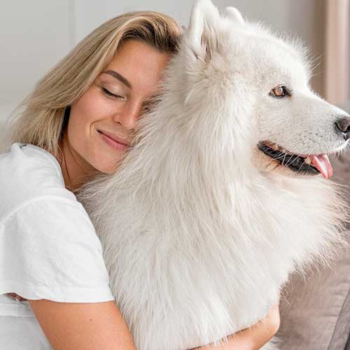 kak-priuchit-sobaku-ostavatsya-odnoj