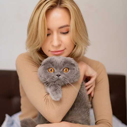 priznaki-beremennosti-koshki