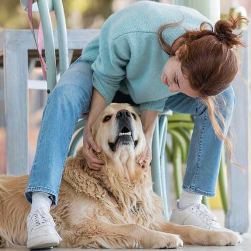 pochemu-sobaku-toshnit