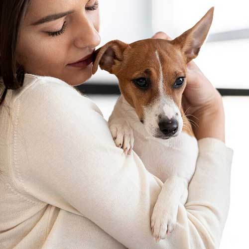 otdyix-s-pitomczem-v-otele