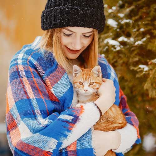 posledstviya-stressa-u-koshek