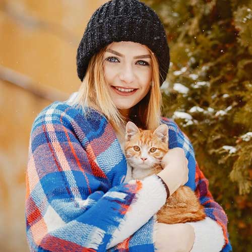 posledstviya-stressa-u-koshek