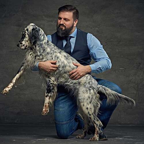 bolshaya-sobaka-v-kvartire