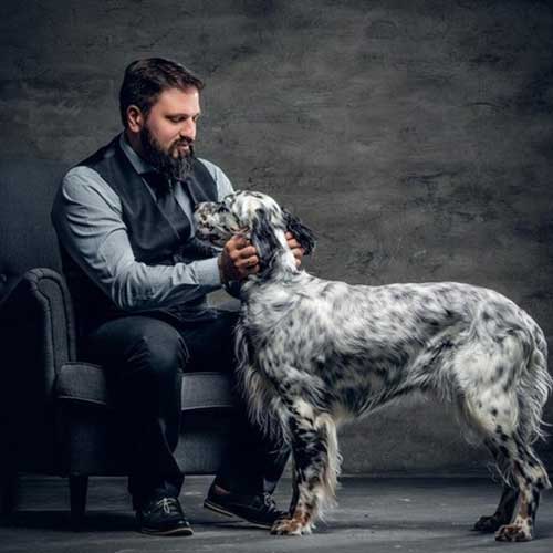 bolshaya-sobaka-v-kvartire