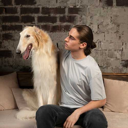 zapax-o-shersti-sobaki