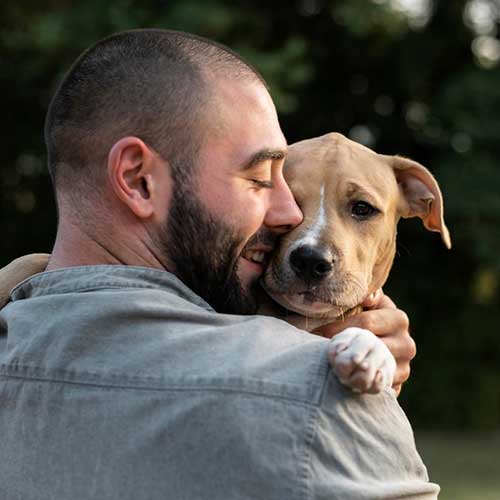 bloshinyij-allergicheskij-dermatit-u-sobak