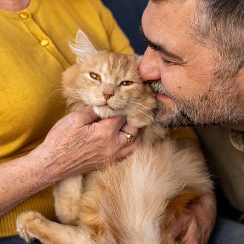 glaznyie-kapli-dlya-koshek