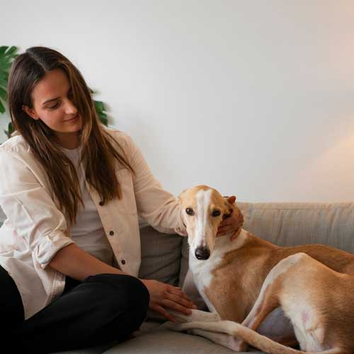 ostraya-pochechnaya-nedostatochnost-u-sobak