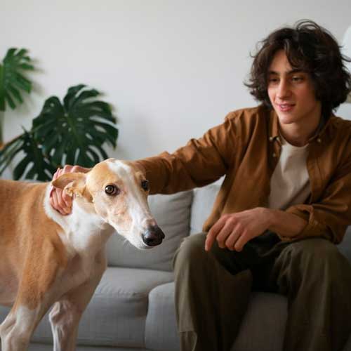 ostraya-pochechnaya-nedostatochnost-u-sobak