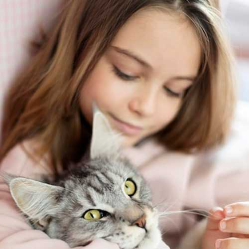 intersticzialnyij-nefrit-u-koshek