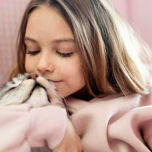 intersticzialnyij-nefrit-u-koshek