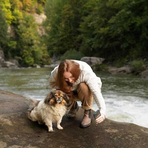 kontaktnyij-dermatit-u-sobak