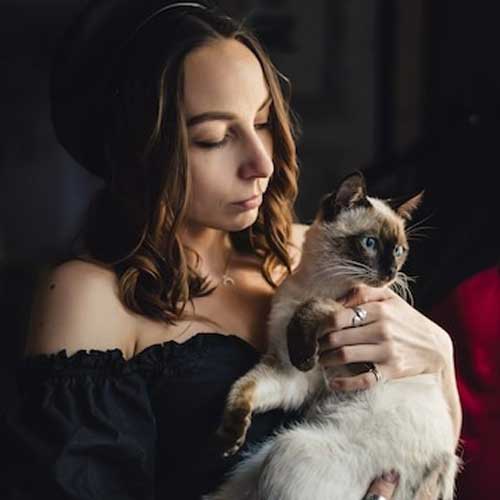 zabolevaniya-kozhi-u-koshek