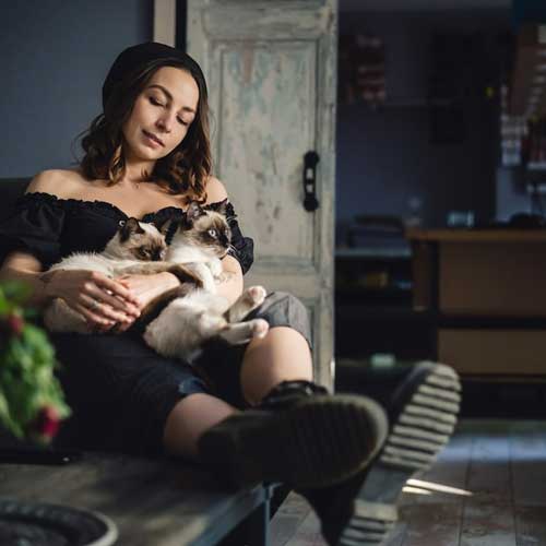 zabolevaniya-kozhi-u-koshek