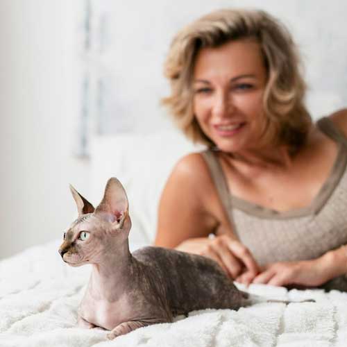 allergicheskij-dermatit-u-koshek