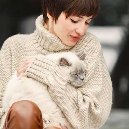 gribkovyie-infekczii-u-koshek