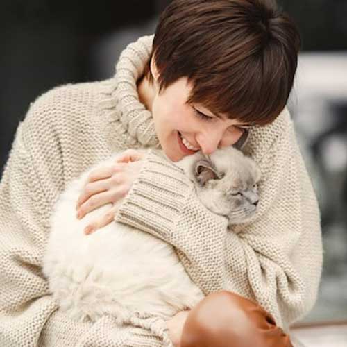 gribkovyie-infekczii-u-koshek