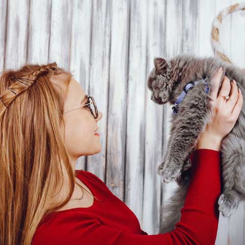 strigushhij-lishaj-u-koshek