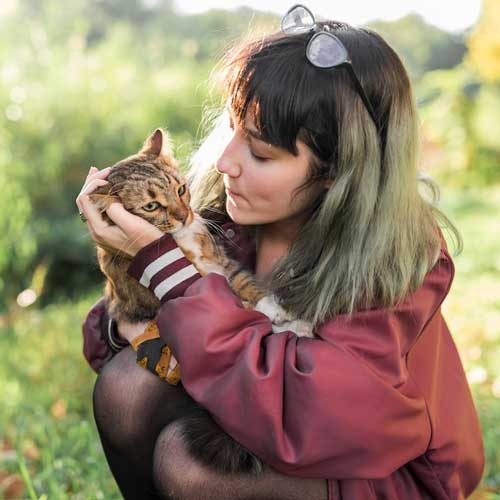 autoimmunnyie-zabolevaniya-u-koshek