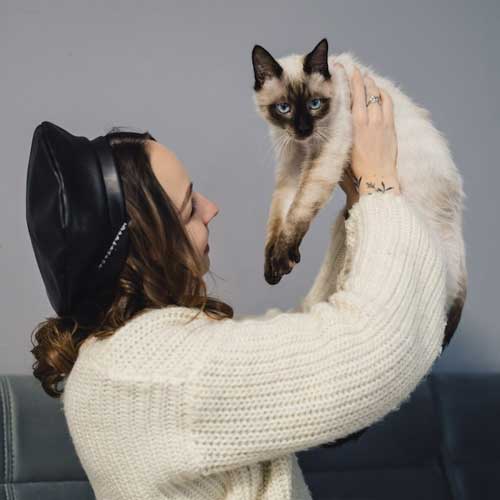 autoimmunnyij-polimiozit-u-koshek