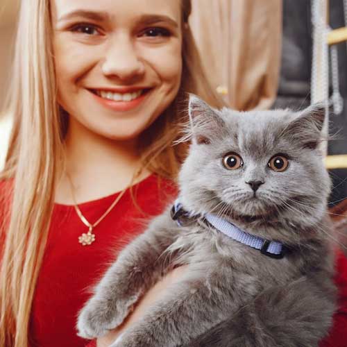 immunnaya-tromboczitopeniya-u-koshek