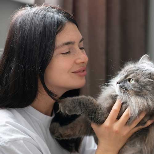 immunooposredovannyij-poliartrit-u-koshek