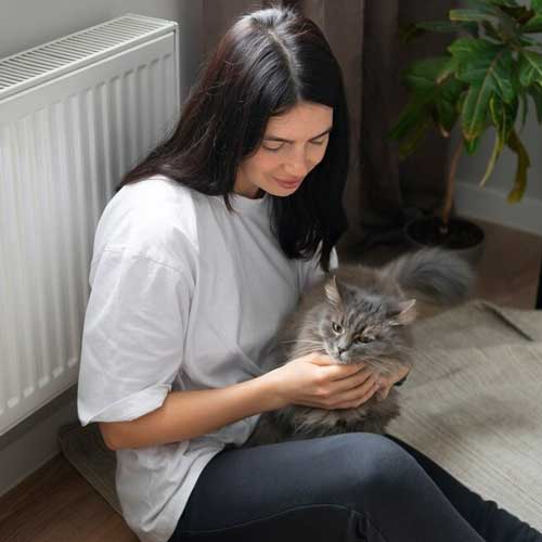 immunooposredovannyij-poliartrit-u-koshek