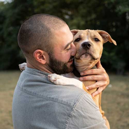Заболевания зубов у собак