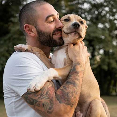 Заболевания зубов у собак