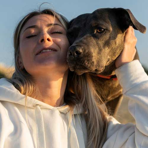 Статья Пародонтит у собак